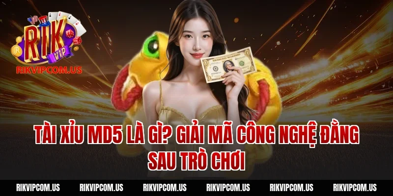 rikvip - Giải trí nhẹ nhàng